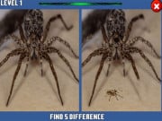 Play Spider Hidden Difference Game on FOG.COM