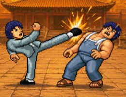 Kung Fu Fighter