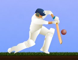 Cricket Game Practice Session